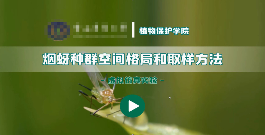 虚拟仿真课程建设.jpg